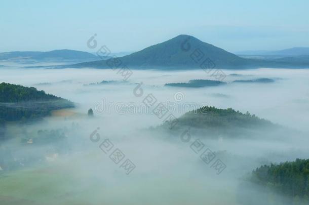 粉红色的黎明，黑暗的森林山丘。。乡间秋高气爽。又冷又湿的秋天早晨。