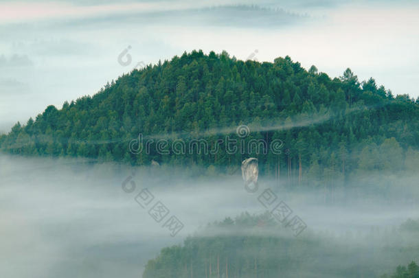 雨夜过后，深谷里有深蓝色的雾。洛矶山贝娄观景点。雾在山峦和树峰之间移动。