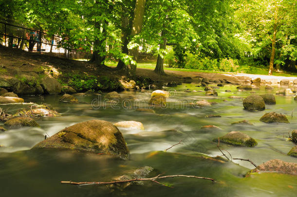 森林里的石头。格但斯克奥利瓦公园的小溪。