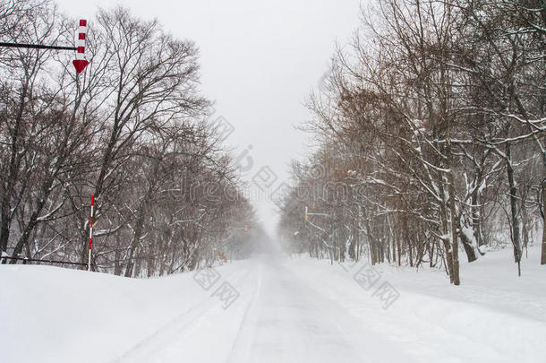 暴雪在Shiretoko，北海道日本