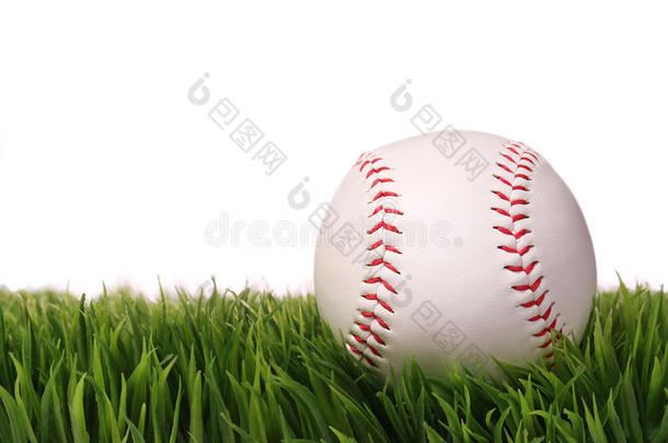 棒球在绿草地上，孤立在白色草地上