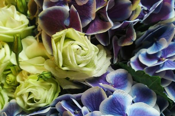 浅黄色<strong>玫瑰</strong>和紫色兰花