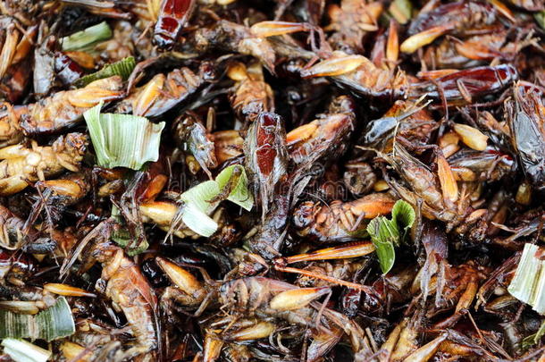 炒蟋蟀和蝗虫是泰国的异国风味小吃