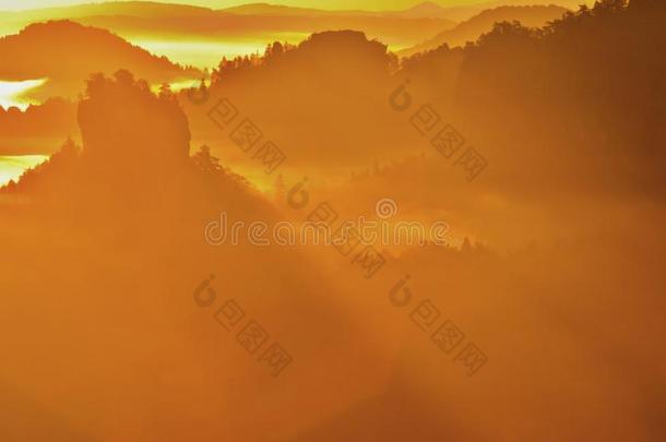 雄伟的金色日出在一座美丽的山上。砂岩从金雾谷背景增加。
