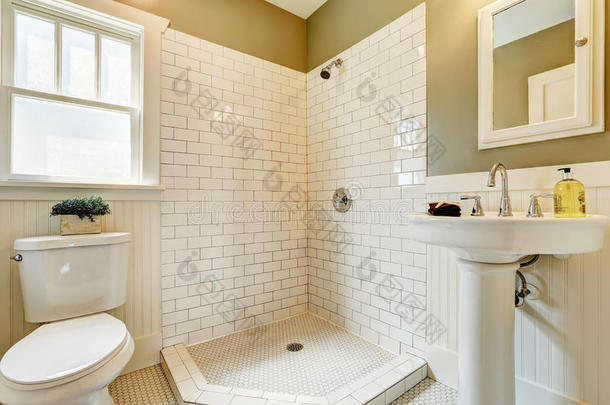 带开放式淋浴和瓷砖墙面装饰的浴室