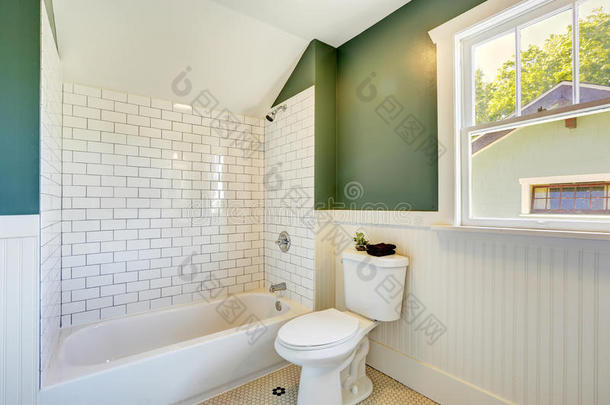 浴室内部采用白色和<strong>绿色墙面</strong>装饰