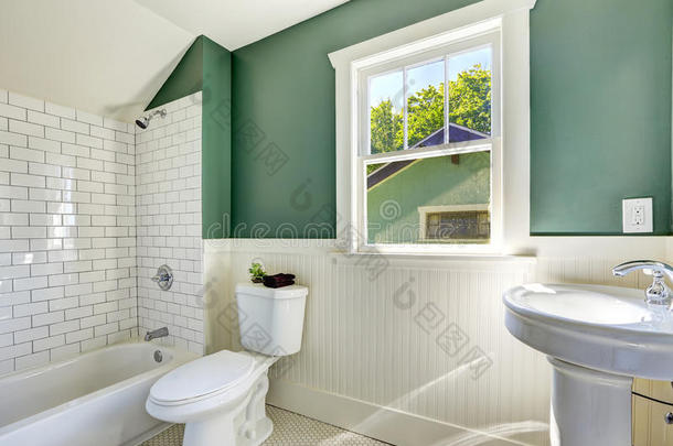 浴室内部采用白色和<strong>绿色墙面</strong>装饰