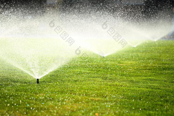 绿色草坪上的花园洒水器