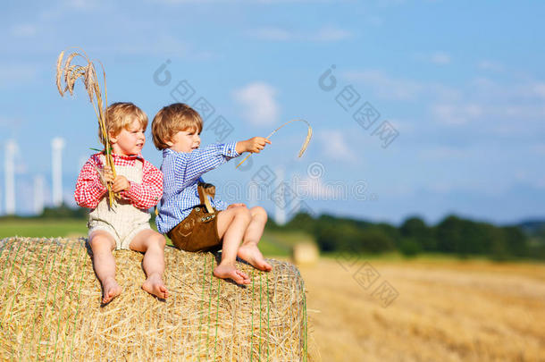 两个小朋友和朋友坐在干草堆上