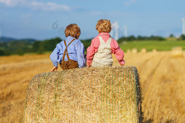 两个弟弟妹妹和朋友坐在干草堆上