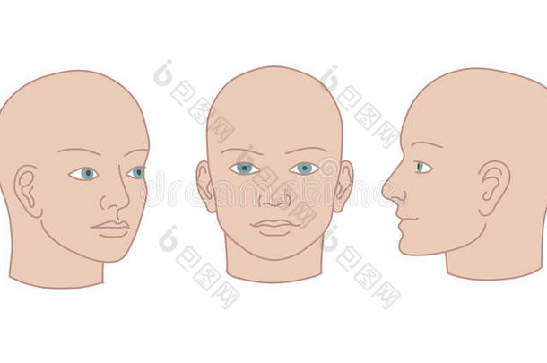 人的头全脸，半脸和四分之三。矢量轮廓图
