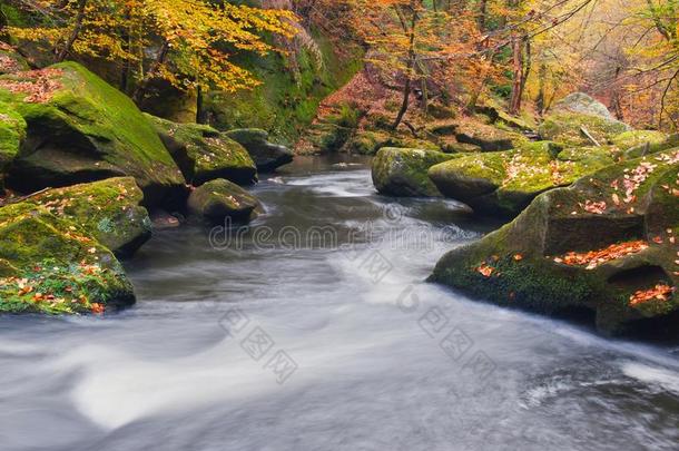 有落叶的大石头。秋山河岸。河岸上的砾石和新鲜的绿色苔藓巨石，五彩缤纷