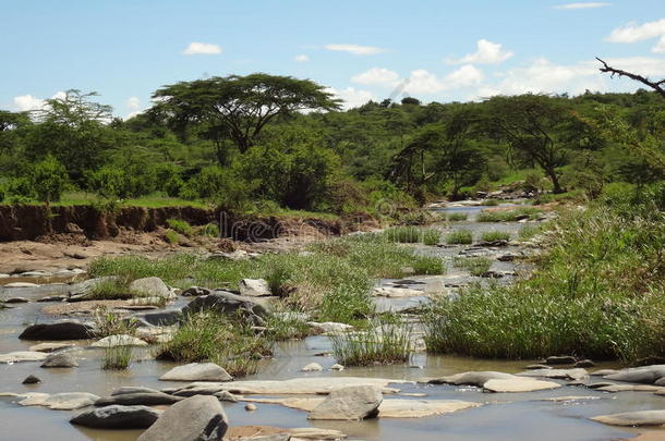 肯尼亚naboisho水利枢纽的河流