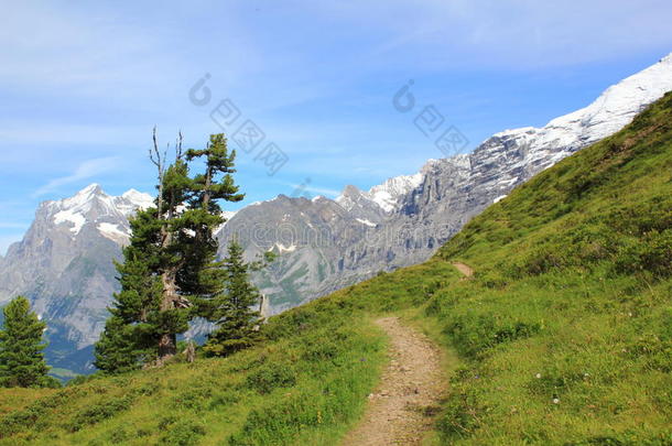 从瑞士阿尔卑斯山的远足小径上俯瞰高山。