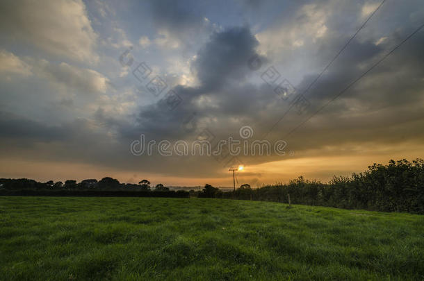英国康沃尔郡，美丽的夕阳下，农田里的玉米秸秆