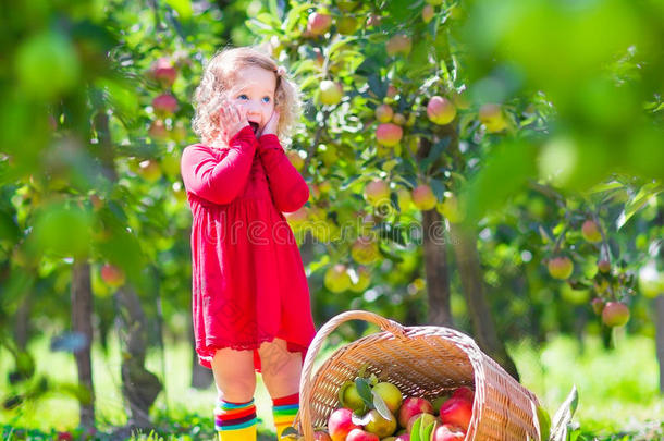 一个小女孩坐在苹果篮子旁边，拍打着篮子