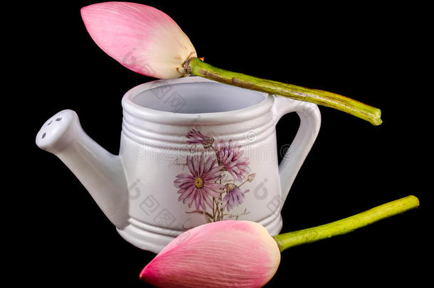 白色陶瓷水壶，洒水器，带粉红荷花，睡莲花，特写