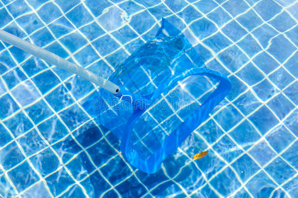 清洁和维护游泳池由蓝拾取器或撇油器