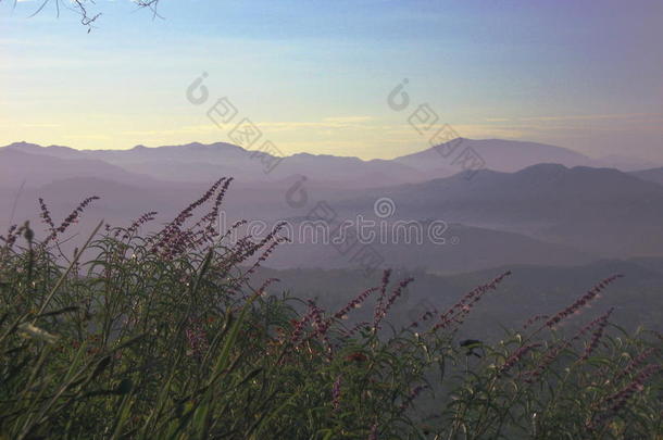 紫金山