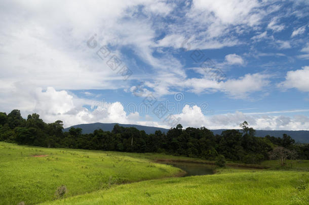 绿地、森林、山川景观