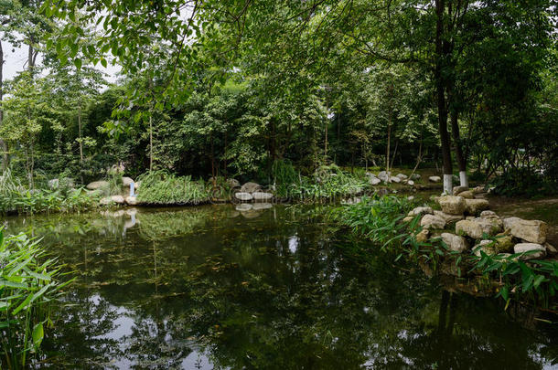 阳光明媚的夏日，绿荫掩映的池塘