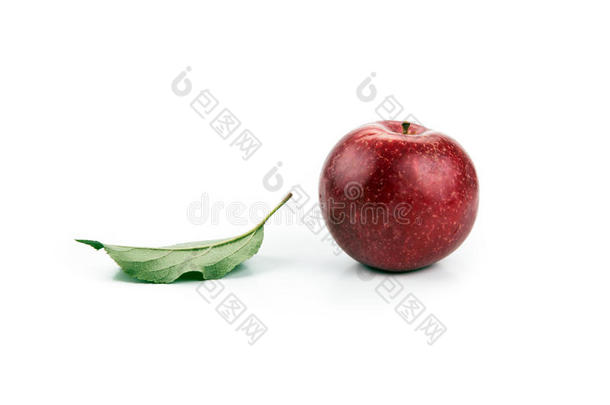一个红苹果和一片叶子