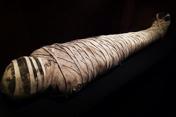 2500岁的木乃伊，ka-i-nefer，纳尔逊-阿特金斯艺术博物馆-堪萨斯城，密苏里州