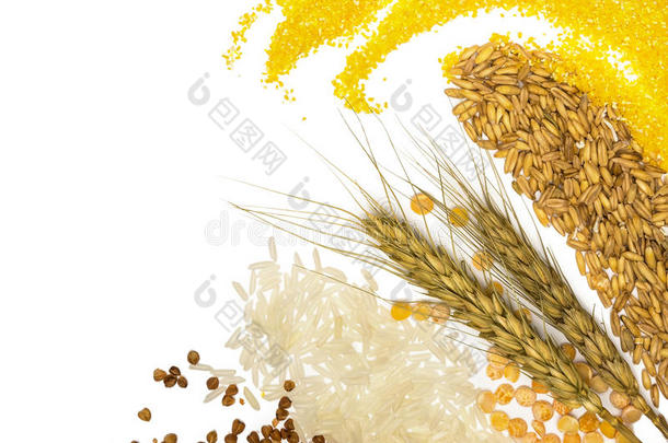 谷物-玉米，小麦，荞麦，<strong>小米</strong>，黑麦，<strong>大米</strong>和豌豆