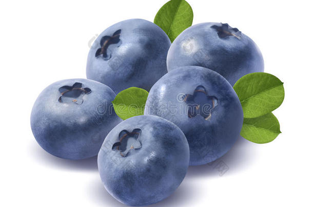 白底五个蓝莓