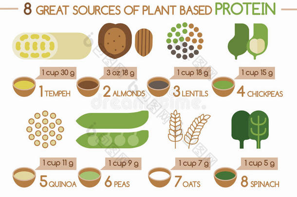 8种植物蛋白插画源