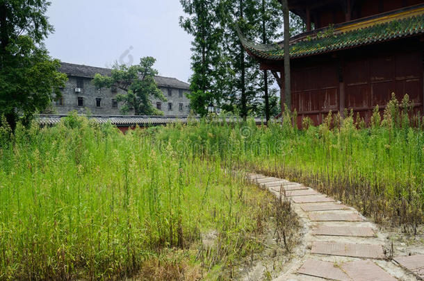 中国古代建筑前杂草丛生的石板小路