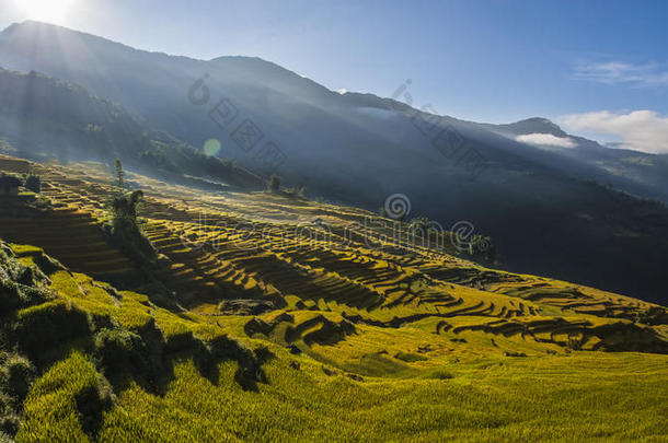 山上景色宜人