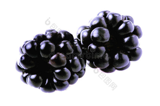 成熟多汁的黑莓。