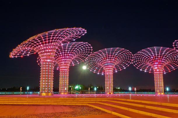 油田广场夜色