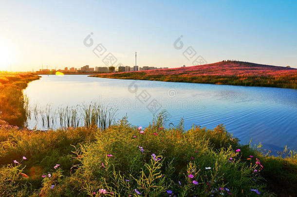 蓝湖夕阳