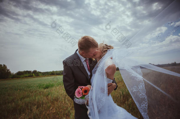 美丽的新郎新娘站在草地上亲吻。<strong>婚纱照</strong>。