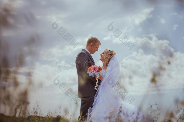 美丽的新郎新娘站在草地上亲吻。婚纱照。