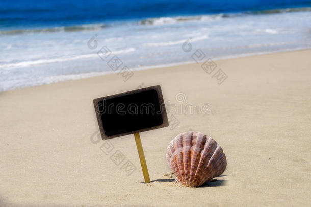 沙滩贝壳名牌