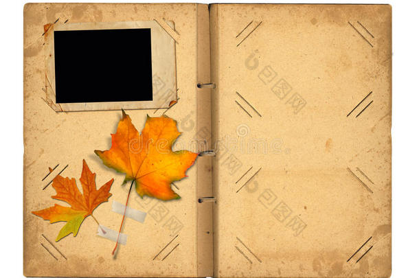 打开复古相册，欣赏秋天树叶的照片