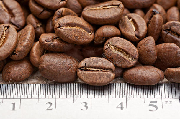 咖啡豆量尺