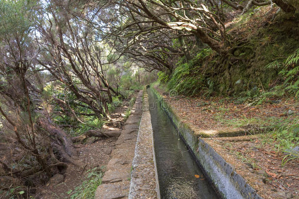 沿着马德拉历史悠久的<strong>供水</strong>系统徒步旅行沿着马德拉历史悠久的<strong>供水</strong>系统徒步旅行