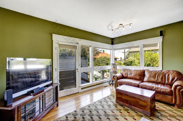 绿色家居内饰，配有丰富的真皮沙发