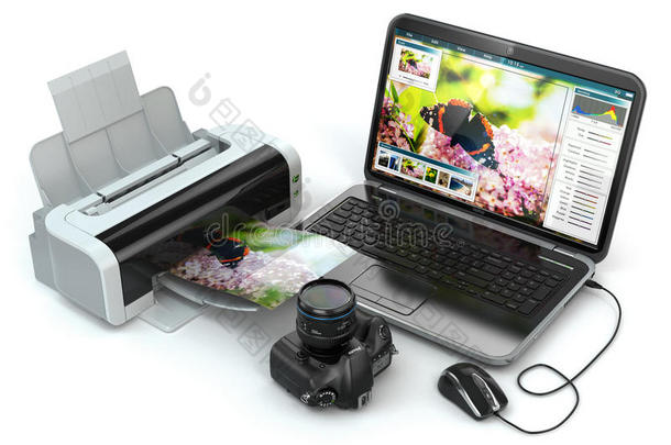 笔记本电脑，照相/摄像机和打印机。准备打印图像。