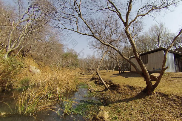 秋天河边的钢铁小屋