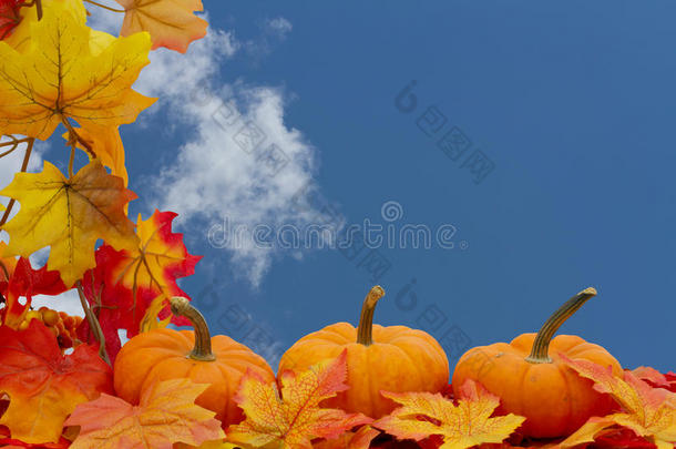彩色秋季边框