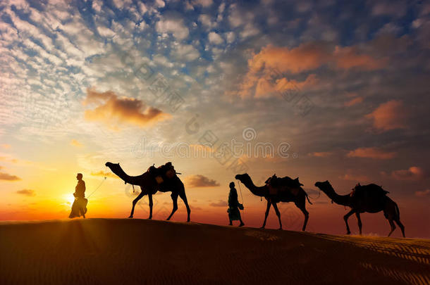 两个骆驼司机（骆驼司机）和骆驼在沙丘塔尔德塞