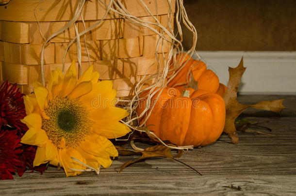 秋天装饰南瓜和向日葵