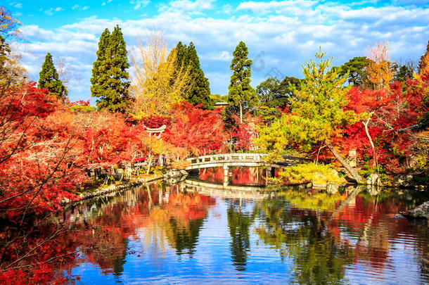 日本关西京都依光寺的秋色