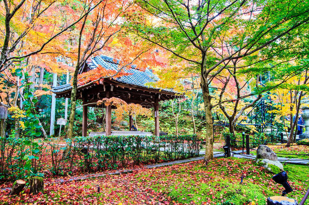 日本关西京都依光寺的秋色
