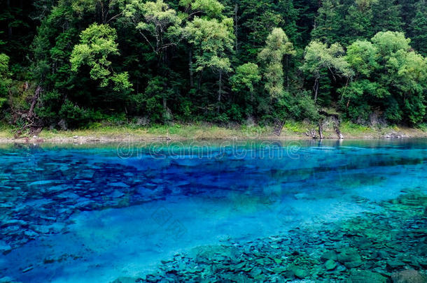 地区秋天美丽的生物圈瓷器